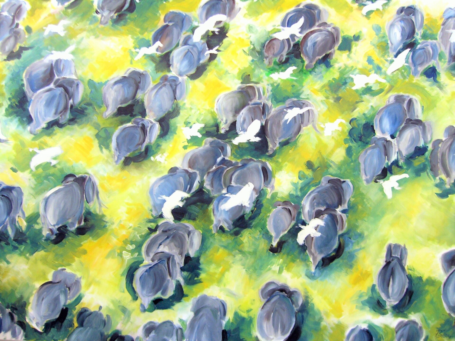 Graue Tulpen Graue Tulpen