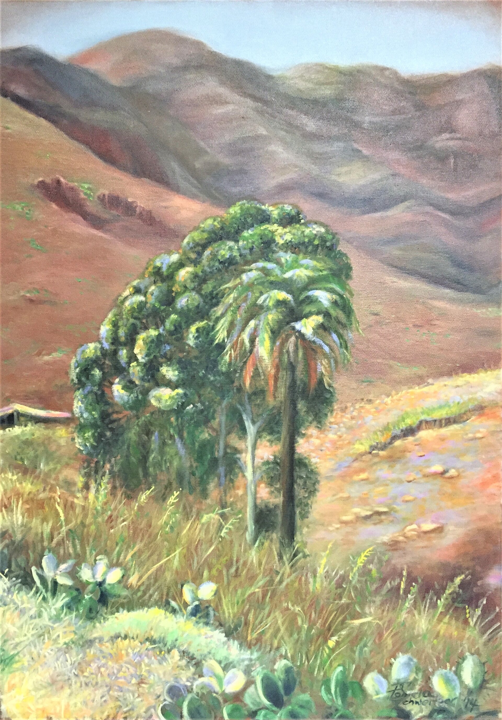Kakteenwald und Palmen
