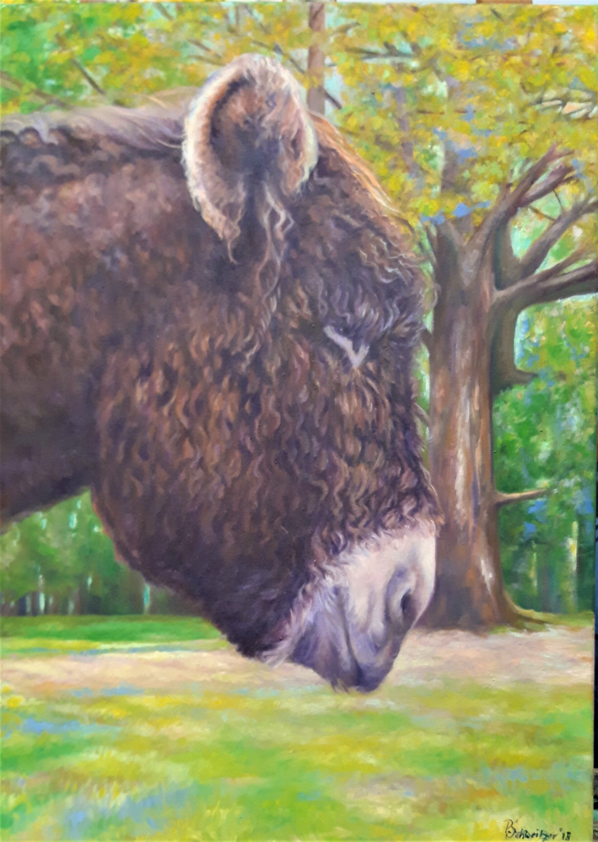 Mister Locky Mister Locky