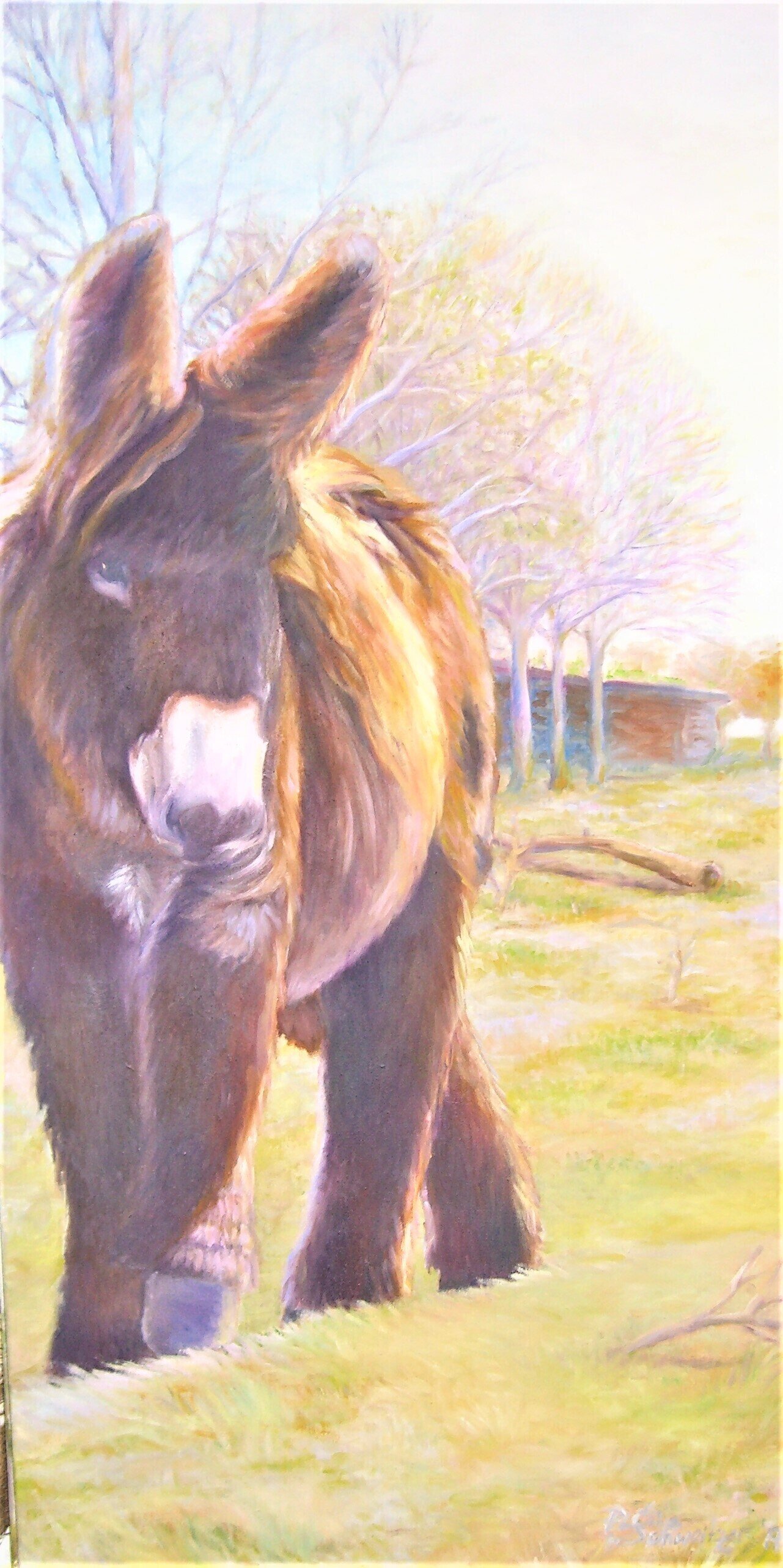 Blick nach vorn Blick nach vorn