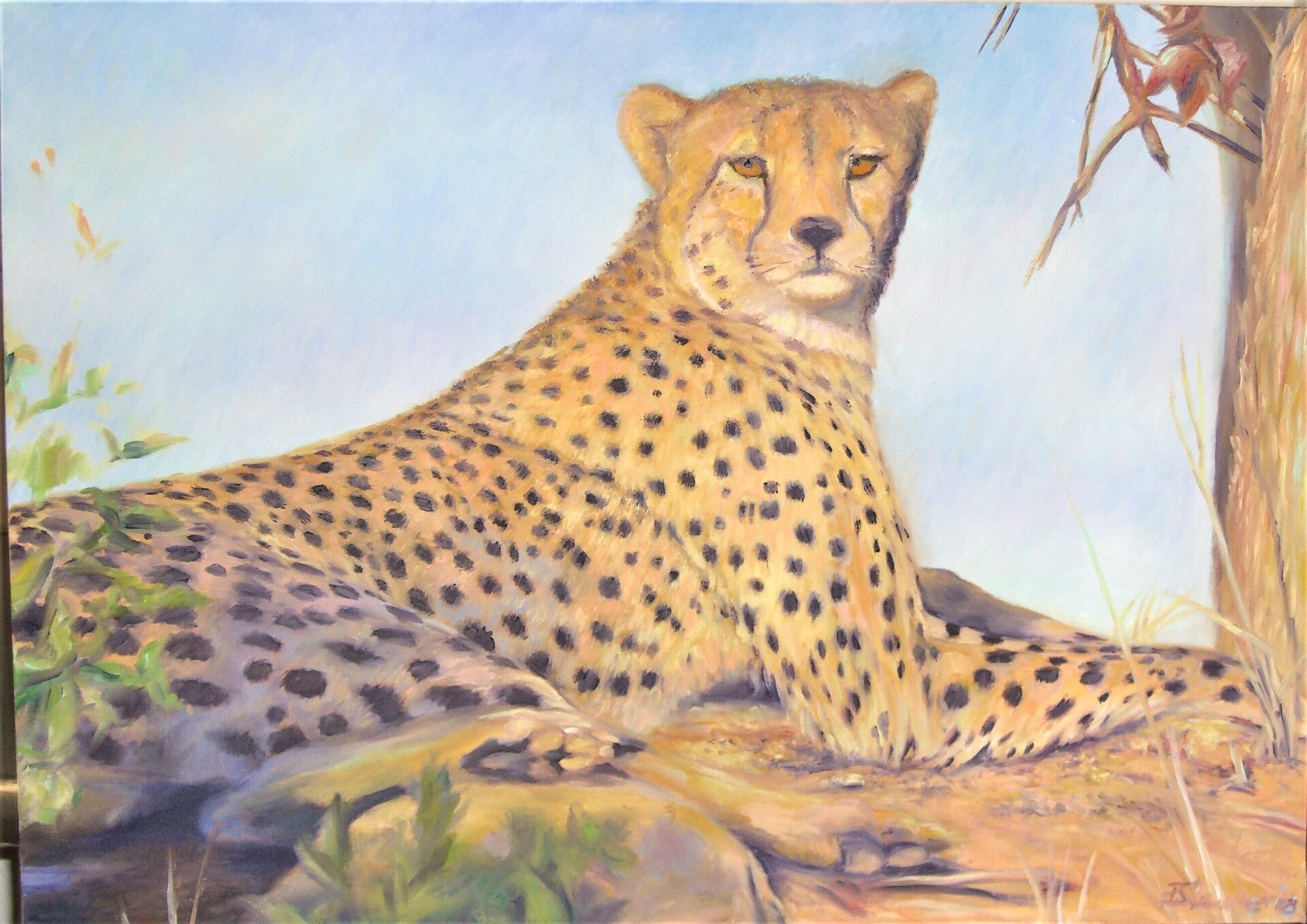 Gut im Blick Gut im Blick