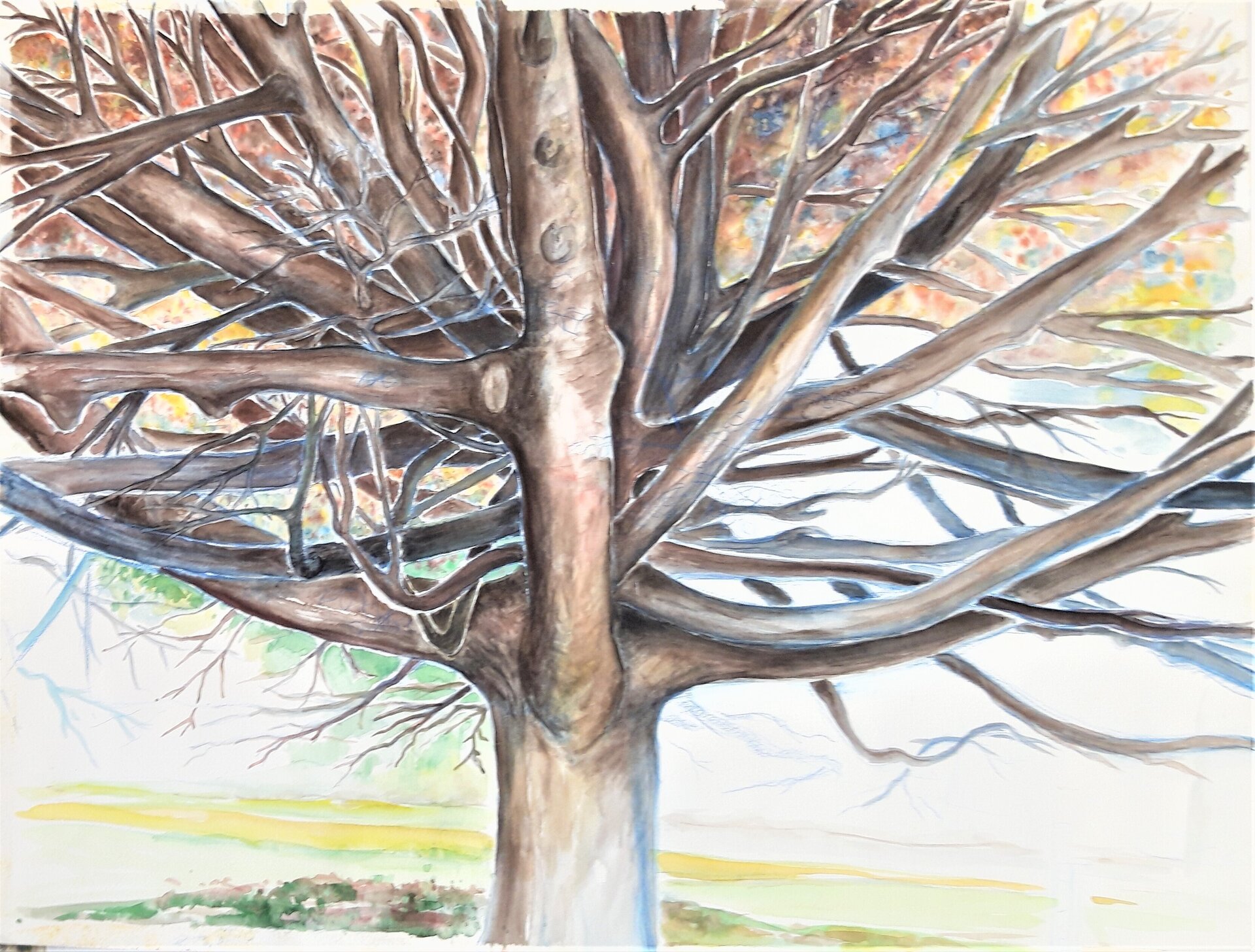 Verdreht und verschlungen Verdreht und verschlungen